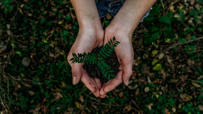 The impact of solar energy on reducing carbon footprint