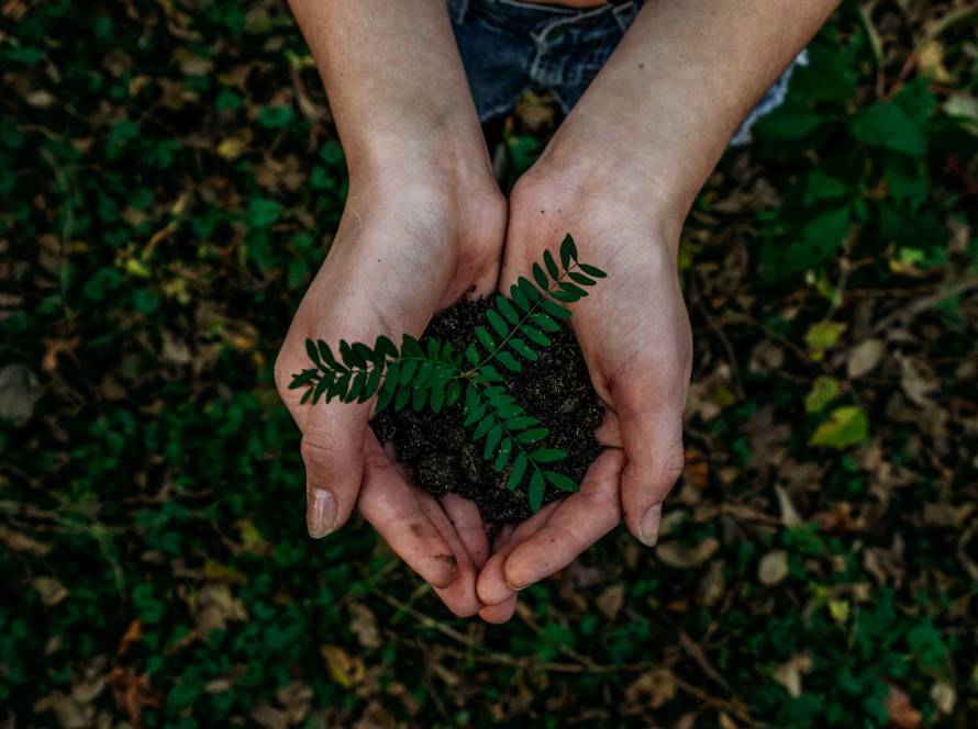 The impact of solar energy on reducing carbon footprint